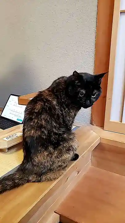 五十稲荷神社(栄寿稲荷神社)(東京都)