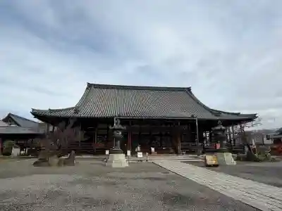 大通寺（長浜御坊）の{uncategorized: "未分類", other: "その他", undefined: "問題あり", building: "その他建物", grave: "お墓", sacred_gate: "鳥居", guardian: "狛犬", statue: "像", buddha: "仏像", history: "歴史", nature: "自然", garden: "庭園", animal: "動物", pagoda: "塔", temizu: "手水舎", mountain_gate: "山門・神門", sanctuary: "本殿・本堂", subordinate: "末社・摂社", art: "芸術", scenery: "景色", jizo: "地蔵", ema: "絵馬", goshuin: "御朱印", omikuji: "おみくじ", items: "授与品その他", amulet: "お守り", goshuincho: "御朱印帳", eats: "食事", festival: "お祭り", votive_dance: "神楽", shichigosan: "七五三参", wedding: "結婚式", experience: "体験その他", initially: "初詣", around: "周辺", anti_infection: "感染症対策"}