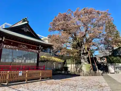 白山神社(東京都)