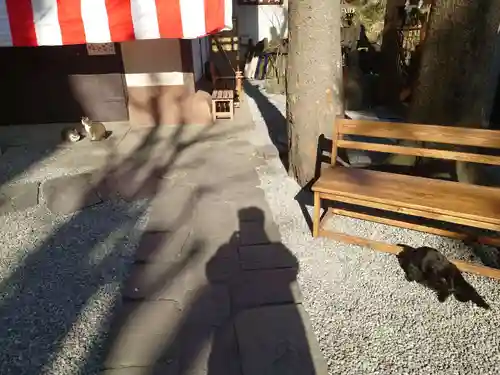 小野照崎神社(東京都)