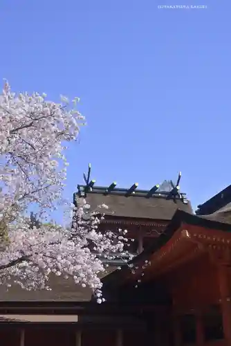 富士山本宮浅間大社(静岡県)