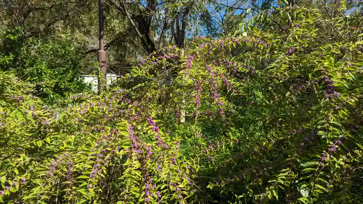 平野神社(京都府)