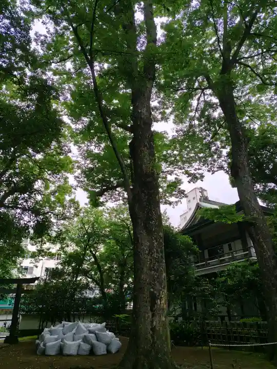 武蔵野八幡宮の{uncategorized: "未分類", other: "その他", undefined: "問題あり", building: "その他建物", grave: "お墓", sacred_gate: "鳥居", guardian: "狛犬", statue: "像", buddha: "仏像", history: "歴史", nature: "自然", garden: "庭園", animal: "動物", pagoda: "塔", temizu: "手水舎", mountain_gate: "山門・神門", sanctuary: "本殿・本堂", subordinate: "末社・摂社", art: "芸術", scenery: "景色", jizo: "地蔵", ema: "絵馬", goshuin: "御朱印", omikuji: "おみくじ", items: "授与品その他", amulet: "お守り", goshuincho: "御朱印帳", eats: "食事", festival: "お祭り", votive_dance: "神楽", shichigosan: "七五三参", wedding: "結婚式", experience: "体験その他", initially: "初詣", around: "周辺", anti_infection: "感染症対策"}