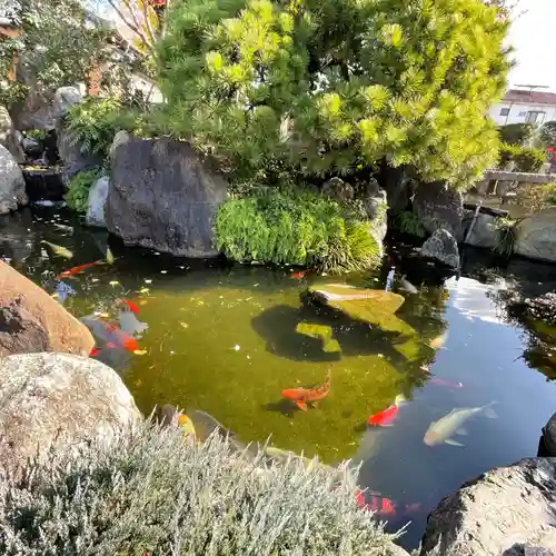 大蓮寺の庭園