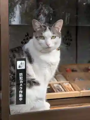 本郷氷川神社(東京都)