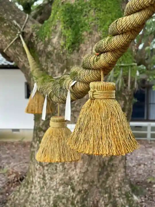 山王神社の自然