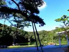 池宮神社の自然