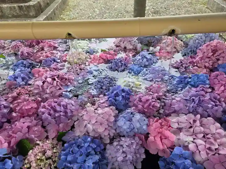 長浜八幡宮(滋賀県)
