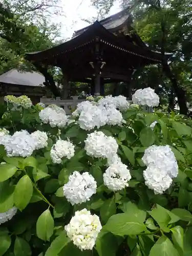 妙楽寺(神奈川県)