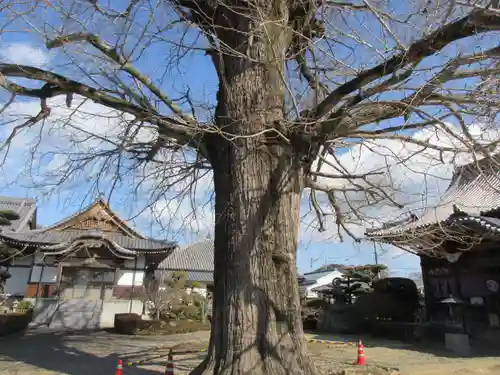 地蔵寺(徳島県)