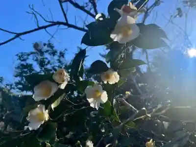 奈良縣護國神社(奈良県)