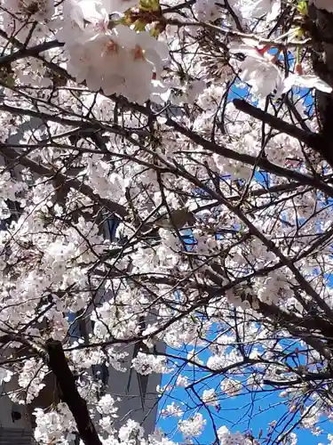 秋葉神社の自然