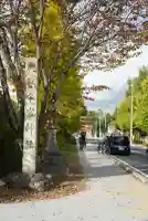 今宮神社(京都府)