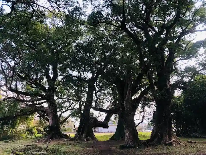 大汝牟遅神社の自然