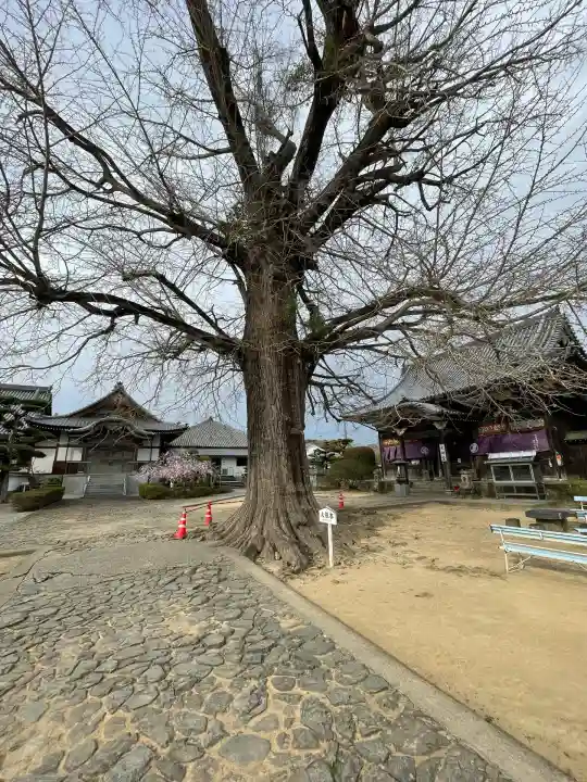 地蔵寺(徳島県)