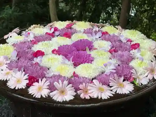 武蔵一宮氷川神社(埼玉県)