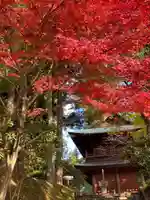 比叡山延暦寺の自然