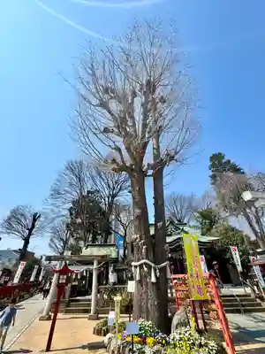 川越八幡宮(埼玉県)