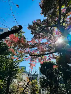 乃木神社(東京都)