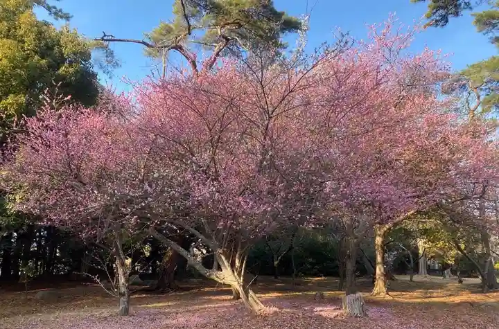 霊犬神社(静岡県)