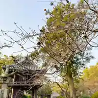 伊勢の国 四天王寺(三重県)