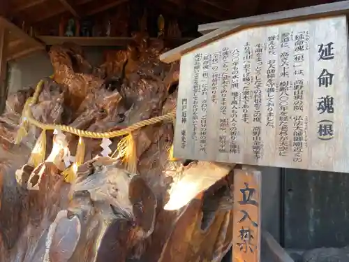 門戸厄神東光寺の歴史