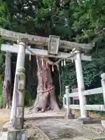 山神社(宮城県)
