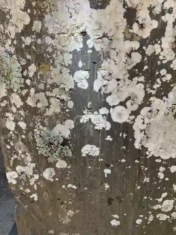 菅原神社(千葉県)