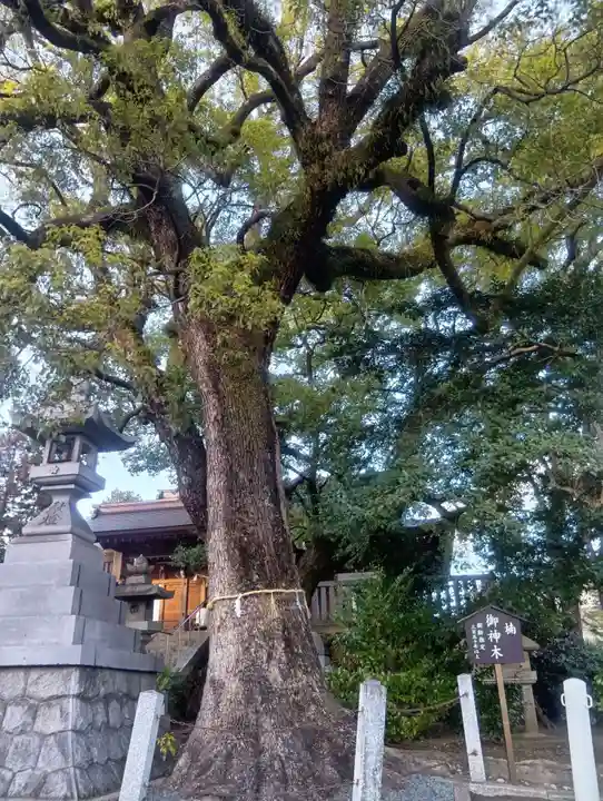 加納天満宮(岐阜県)