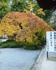 北口本宮冨士浅間神社の自然