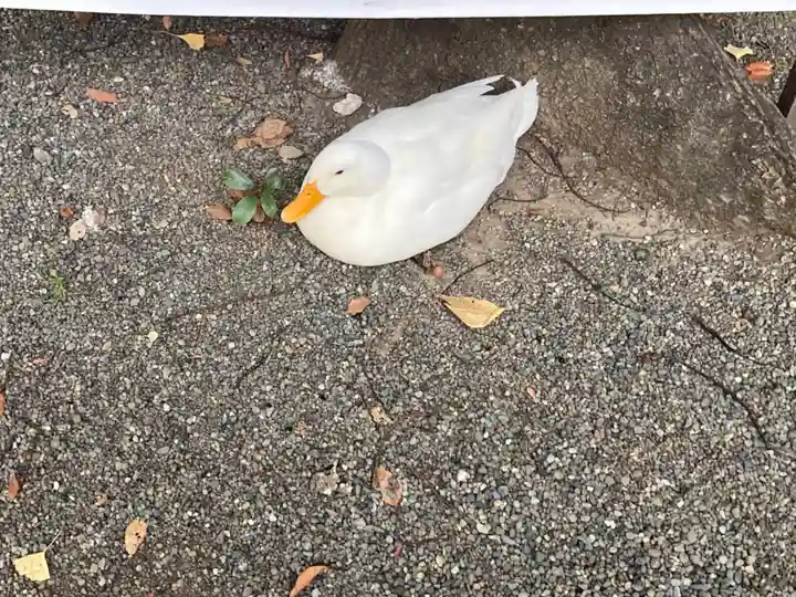 平塚八幡宮(神奈川県)