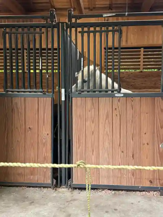 丹生川上神社(下社)(奈良県)