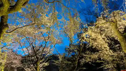 平野神社(京都府)