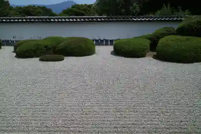 正伝護国禅寺(正伝寺･正傳寺)(京都府)