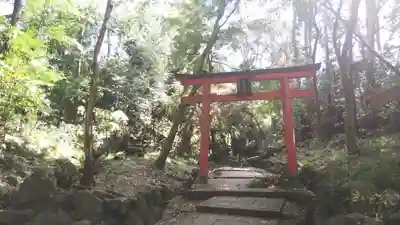 吉田神社の鳥居