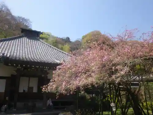 光則寺の本殿・本堂