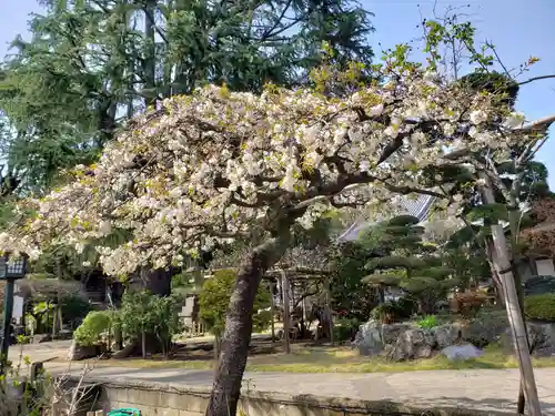 東光寺(東京都)