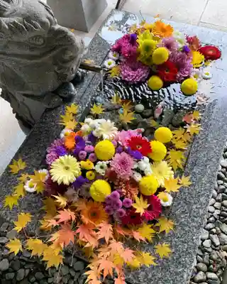 滑川神社 - 仕事と子どもの守り神の手水舎