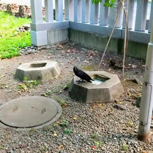 彌彦神社 (伊夜日子神社)の動物