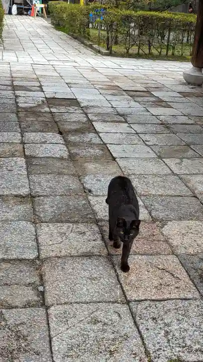 頂妙寺(京都府)