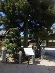 長福寺の自然