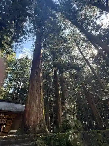 室生龍穴神社(奈良県)