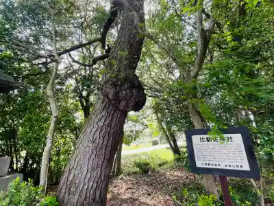 比都佐神社(滋賀県)