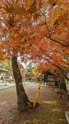 松ヶ崎大黒天 妙圓寺（妙円寺）(京都府)