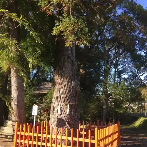 赤池神社の自然