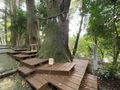 白山比咩神社(石川県)
