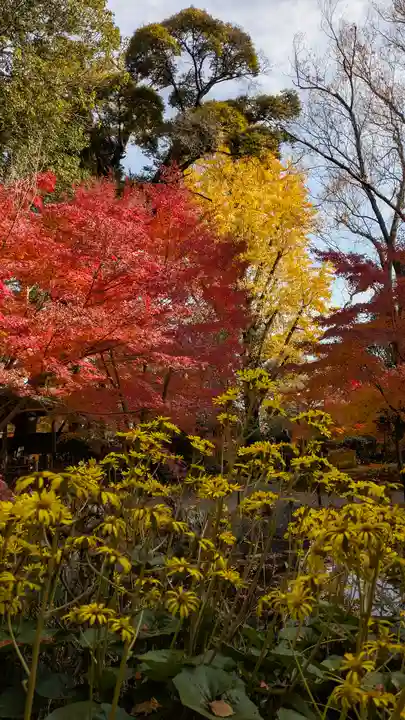長岡天満宮(京都府)
