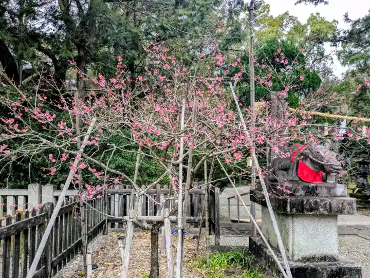 潮江天満宮の{uncategorized: "未分類", other: "その他", undefined: "問題あり", building: "その他建物", grave: "お墓", sacred_gate: "鳥居", guardian: "狛犬", statue: "像", buddha: "仏像", history: "歴史", nature: "自然", garden: "庭園", animal: "動物", pagoda: "塔", temizu: "手水舎", mountain_gate: "山門・神門", sanctuary: "本殿・本堂", subordinate: "末社・摂社", art: "芸術", scenery: "景色", jizo: "地蔵", ema: "絵馬", goshuin: "御朱印", omikuji: "おみくじ", items: "授与品その他", amulet: "お守り", goshuincho: "御朱印帳", eats: "食事", festival: "お祭り", votive_dance: "神楽", shichigosan: "七五三参", wedding: "結婚式", experience: "体験その他", initially: "初詣", around: "周辺", anti_infection: "感染症対策"}