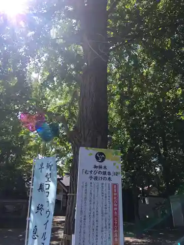 星置神社の自然