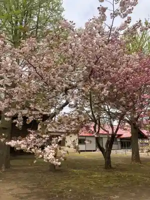 岩内神社の自然
